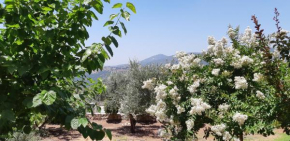 Sanabl Bed & Breakfast
